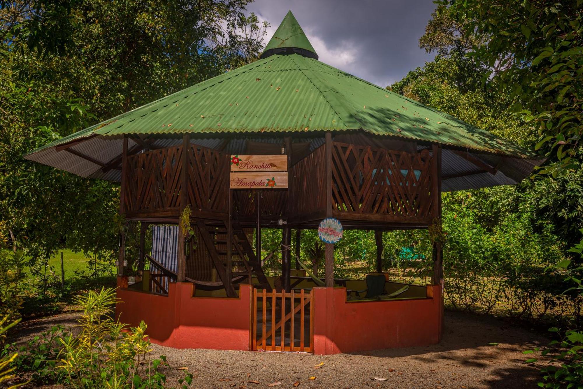 Dolphin Quest Costa Rica Vila Piedras Blancas Exterior foto